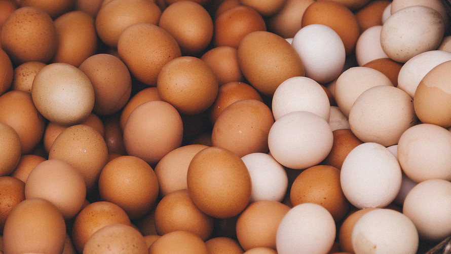 Trứng có màu sẫm tốt hơn trứng trắng